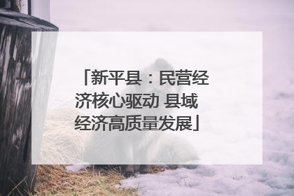 新平县：民营经济核心驱动 县域经济高质量发展