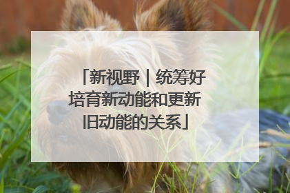 新视野｜统筹好培育新动能和更新旧动能的关系