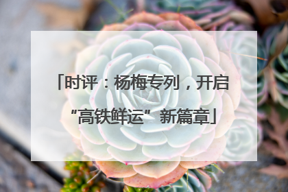 时评：杨梅专列，开启“高铁鲜运”新篇章