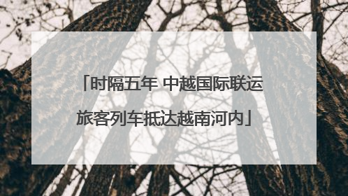 时隔五年 中越国际联运旅客列车抵达越南河内