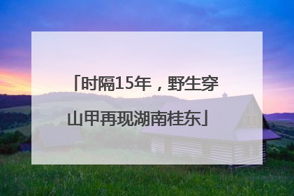 时隔15年，野生穿山甲再现湖南桂东