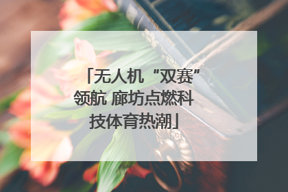 无人机“双赛”领航 廊坊点燃科技体育热潮