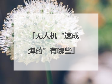 无人机“速成弹药”有哪些