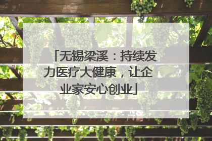 无锡梁溪：持续发力医疗大健康，让企业家安心创业
