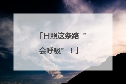 日照这条路“会呼吸”！