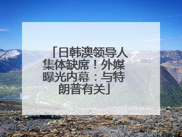 日韩澳领导人集体缺席！外媒曝光内幕：与特朗普有关