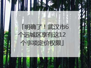 明确了！武汉市6个远城区享有这12个事项定价权限