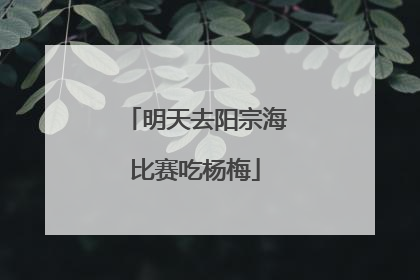 明天去阳宗海比赛吃杨梅