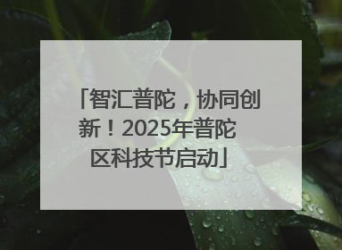 智汇普陀，协同创新！2025年普陀区科技节启动