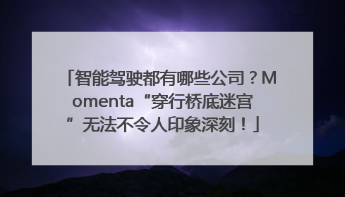 智能驾驶都有哪些公司？Momenta“穿行桥底迷宫”无法不令人印象深刻！
