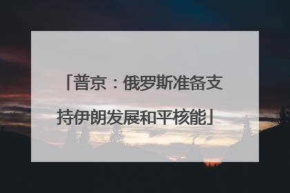 普京：俄罗斯准备支持伊朗发展和平核能