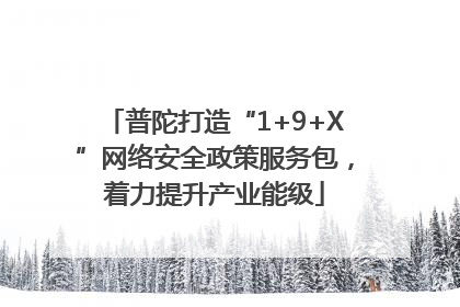 普陀打造“1+9+X”网络安全政策服务包，着力提升产业能级