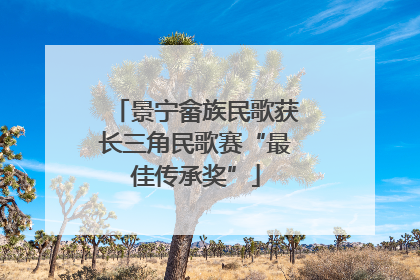 景宁畲族民歌获长三角民歌赛“最佳传承奖”