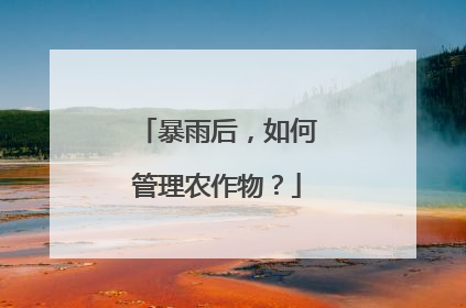 暴雨后，如何管理农作物？