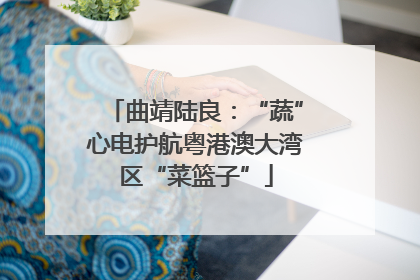 曲靖陆良：“蔬”心电护航粤港澳大湾区“菜篮子”