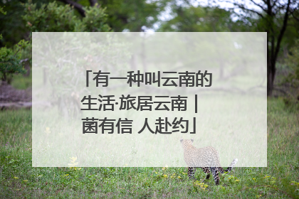 有一种叫云南的生活·旅居云南｜菌有信 人赴约