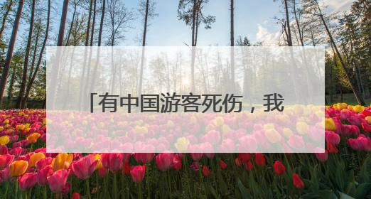 有中国游客死伤，我驻意大利使馆发声