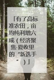 有了高标准农田，亩均纯利增六成（经济聚焦·夏收里的“新选手”）