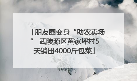 朋友圈变身“助农卖场” 武陵源区黄家坪村5天销出4000斤包菜