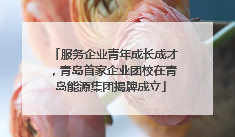 服务企业青年成长成才，青岛首家企业团校在青岛能源集团揭牌成立
