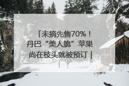 未摘先售70%！丹巴“美人脆”苹果尚在枝头就被预订｜长征路上看四川
