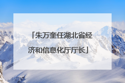 朱万奎任湖北省经济和信息化厅厅长