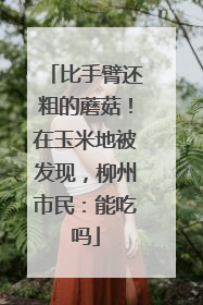 比手臂还粗的蘑菇！在玉米地被发现，柳州市民：能吃吗