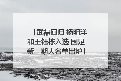 武磊回归 杨明洋和王钰栋入选 国足新一期大名单出炉