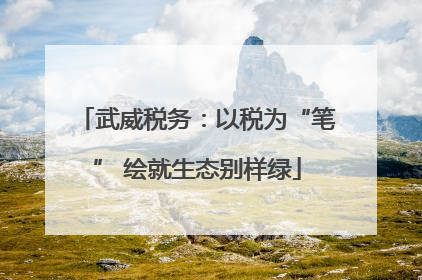 武威税务：以税为“笔” 绘就生态别样绿