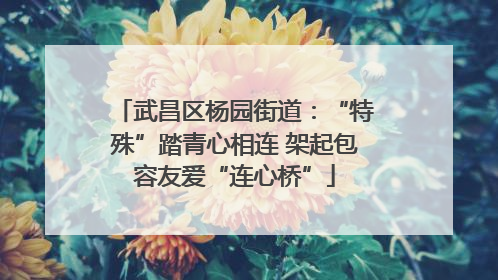 武昌区杨园街道：“特殊”踏青心相连 架起包容友爱“连心桥”