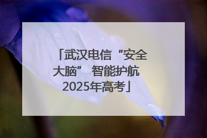武汉电信“安全大脑” 智能护航2025年高考
