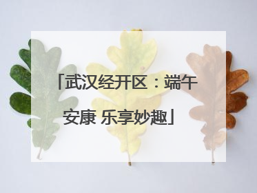 武汉经开区：端午安康 乐享妙趣