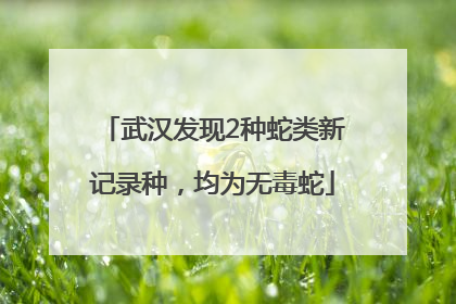 武汉发现2种蛇类新记录种，均为无毒蛇