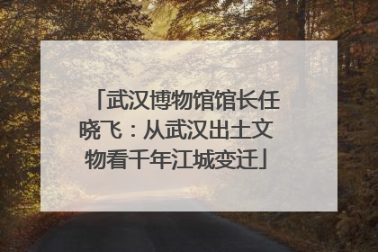 武汉博物馆馆长任晓飞：从武汉出土文物看千年江城变迁