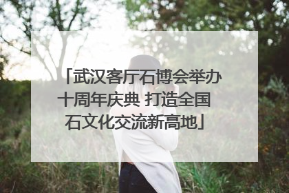 武汉客厅石博会举办十周年庆典 打造全国石文化交流新高地