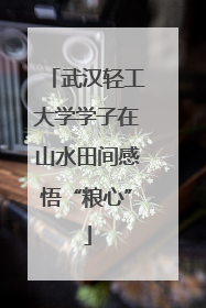 武汉轻工大学学子在山水田间感悟“粮心”
