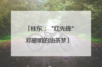桂东：“红先锋”邓耀明的油茶梦