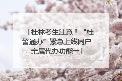 桂林考生注意！“桂警通办”紧急上线同户亲属代办功能→