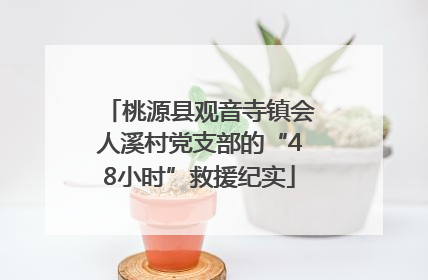 桃源县观音寺镇会人溪村党支部的“48小时”救援纪实