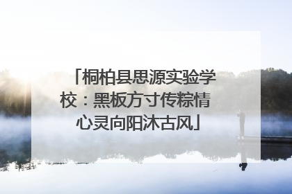 桐柏县思源实验学校：黑板方寸传粽情 心灵向阳沐古风