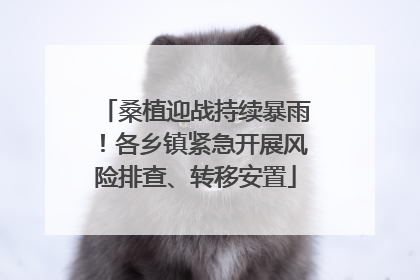 桑植迎战持续暴雨！各乡镇紧急开展风险排查、转移安置