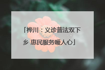 桦川：义诊普法双下乡 惠民服务暖人心