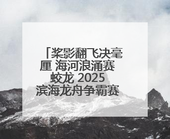 桨影翻飞决毫厘 海河浪涌赛蛟龙 2025滨海龙舟争霸赛燃爆端午