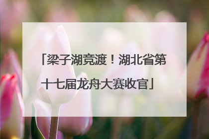 梁子湖竞渡！湖北省第十七届龙舟大赛收官