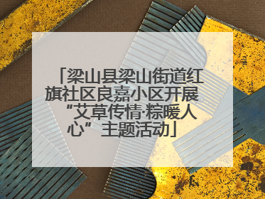 梁山县梁山街道红旗社区良嘉小区开展“艾草传情·粽暖人心”主题活动