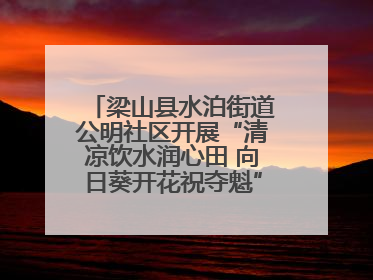 梁山县水泊街道公明社区开展“清凉饮水润心田 向日葵开花祝夺魁”助考活动
