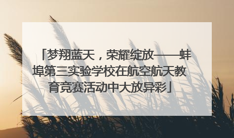 梦翔蓝天，荣耀绽放——蚌埠第三实验学校在航空航天教育竞赛活动中大放异彩