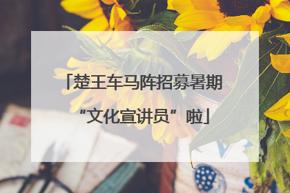 楚王车马阵招募暑期“文化宣讲员”啦