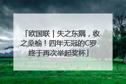 欧国联｜失之东隅，收之桑榆！四年无冠的C罗终于再次举起奖杯
