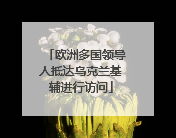 欧洲多国领导人抵达乌克兰基辅进行访问